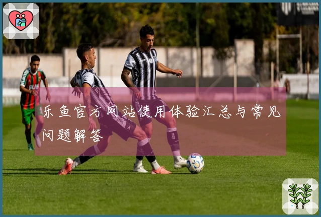 乐鱼官方网站使用体验汇总与常见问题解答
