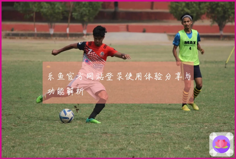 乐鱼官方网站登录使用体验分享与功能解析