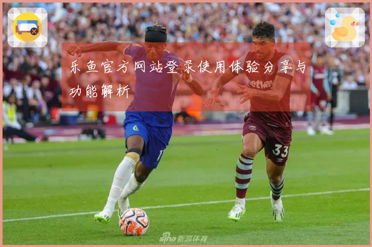 乐鱼官方网站登录使用体验分享与功能解析