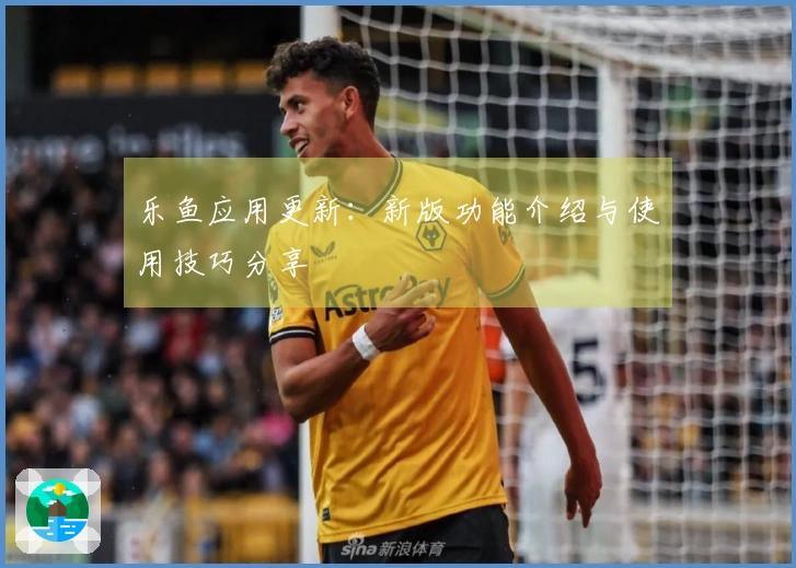 乐鱼应用更新:新版功能介绍与使用技巧分享